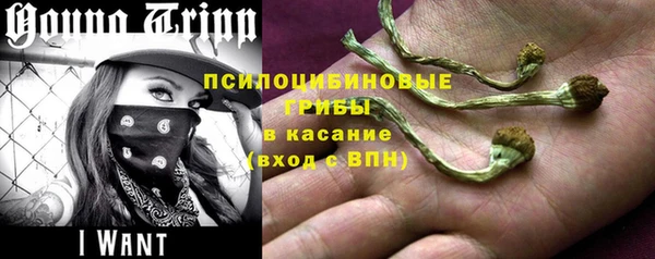 героин Абаза