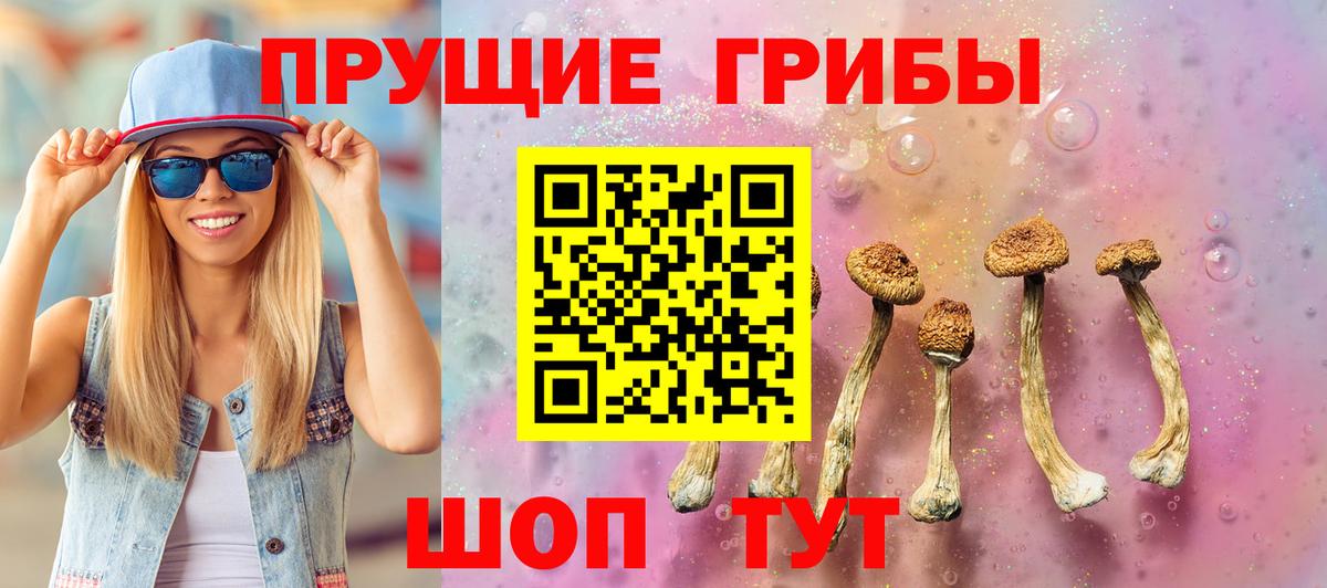 Галлюциногенные грибы Psilocybe Смоленск